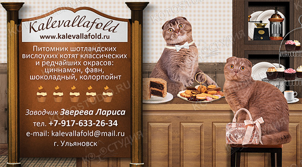 Визитка питомника шотландских кошек классических и редчайших окрасов Kalevallafold