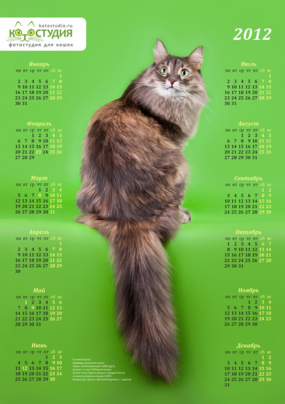 Фирменный календарь "Котостудии" за 2012 год