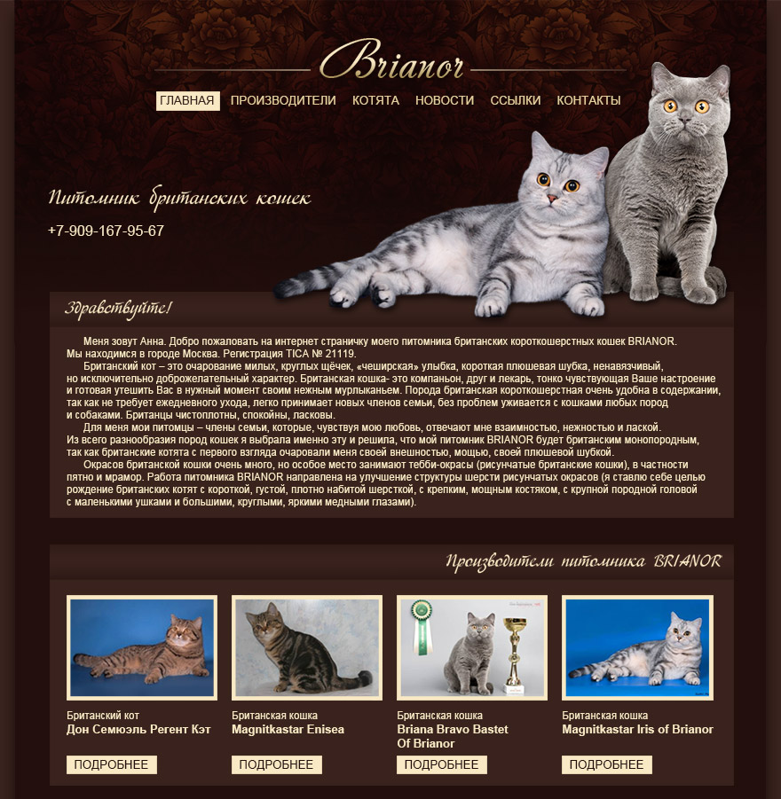 Сайт питомника Британских кошек Brianor