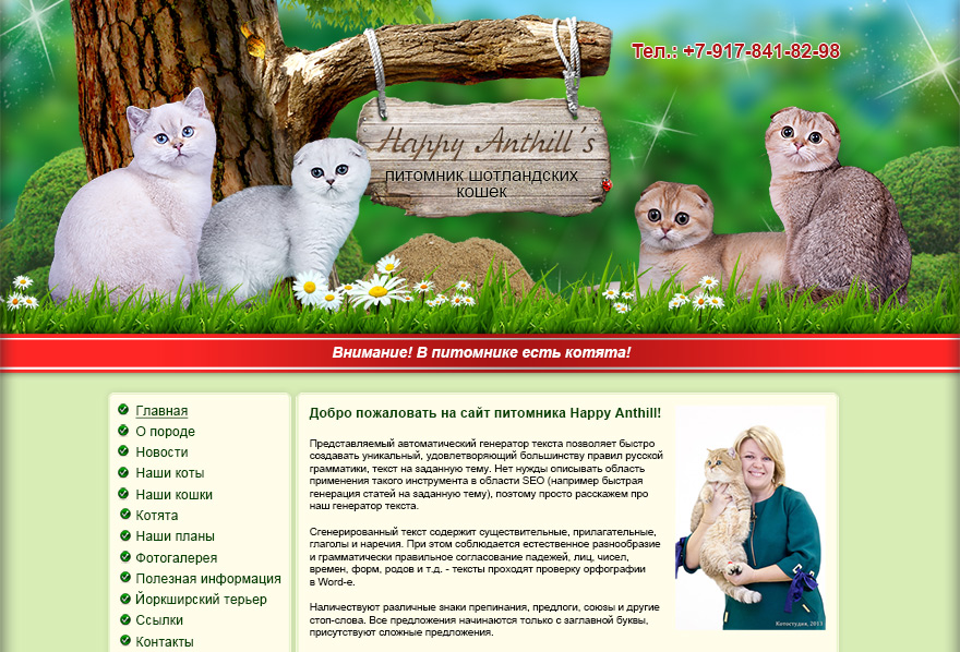 Сайт питомника Шотландских кошек Happy Anthills