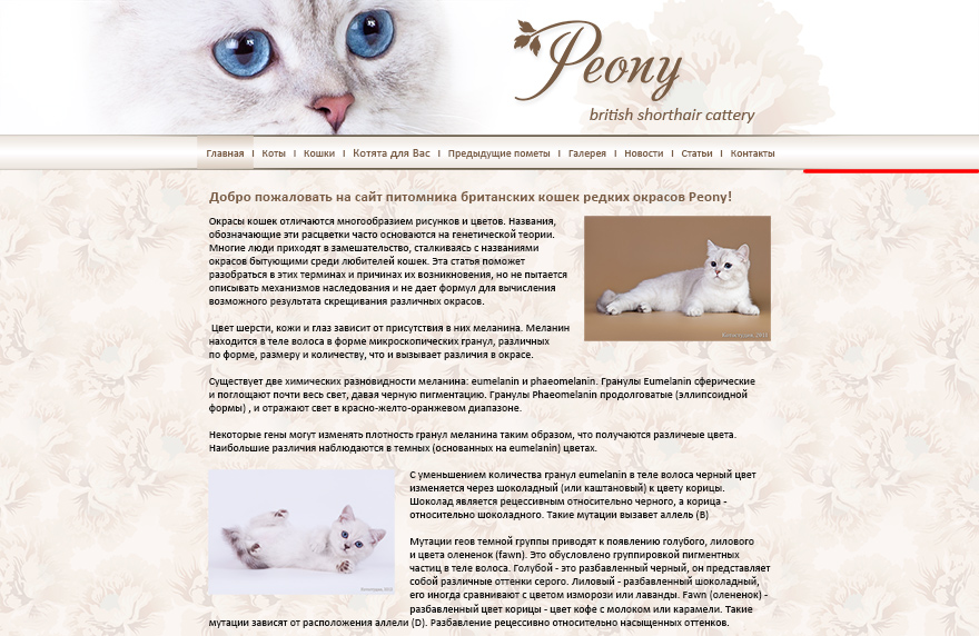 Сайт питомника Британских кошек Peony