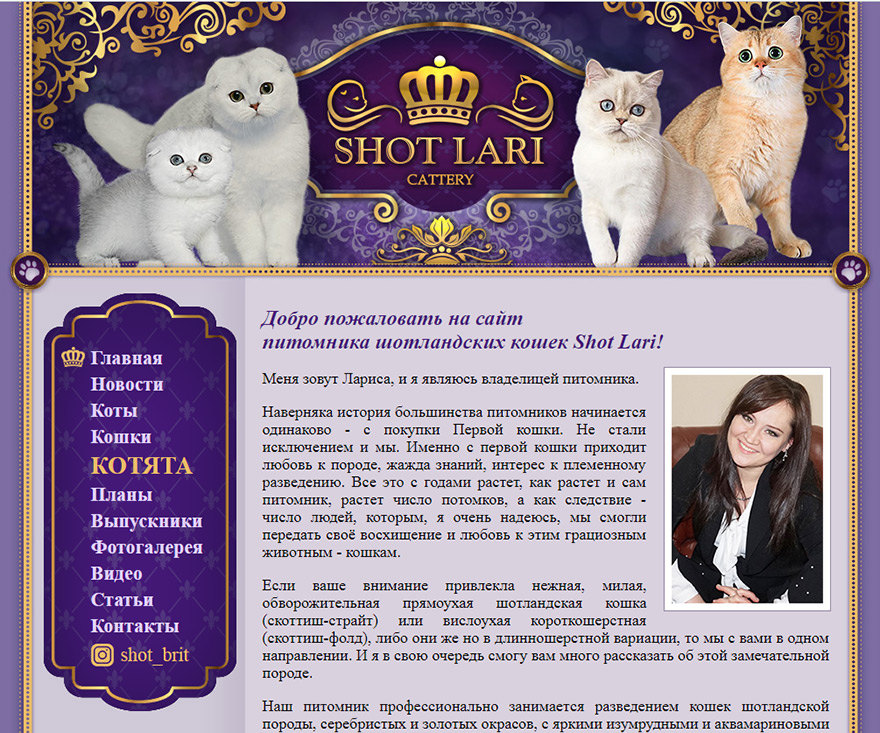 Сайт питомника Шотландских кошек ShotLari