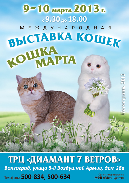 Рекламный баннер выставки кошек