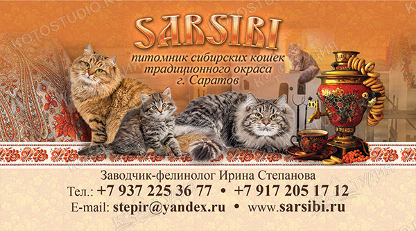 Визитка питомника сибирских кошек Sarsibi