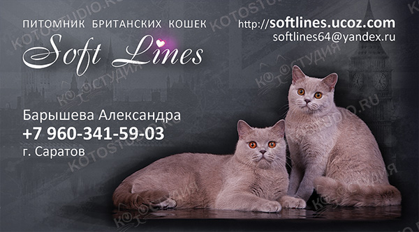 Визитка питомника британских кошек Soft Lines