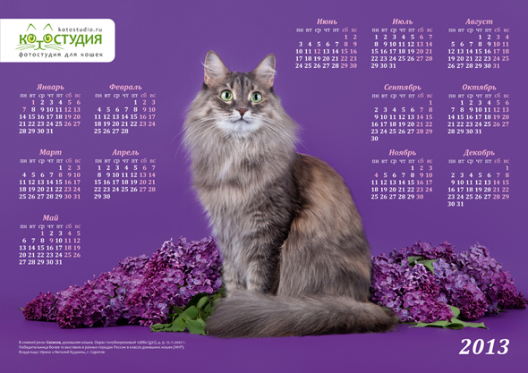 Фирменный календарь "Котостудии" за 2013 год