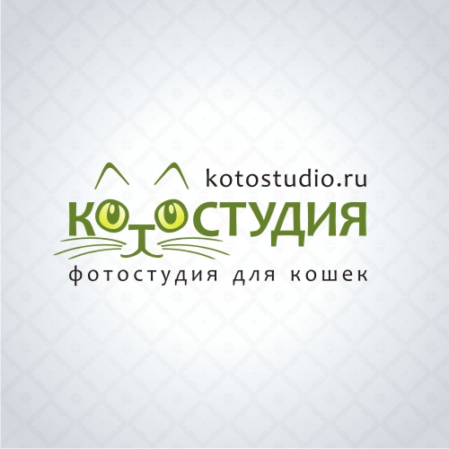Логотип Котостудии