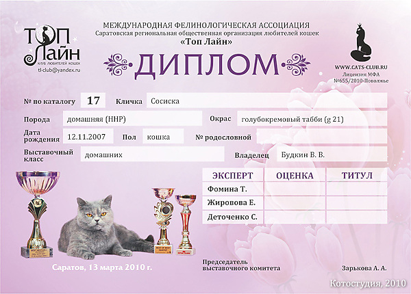 Диплом для участников выставки кошек