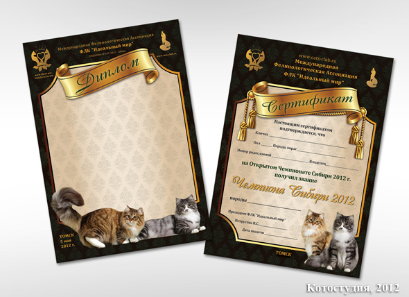 Дипломы и сертификаты для участников выставки кошек