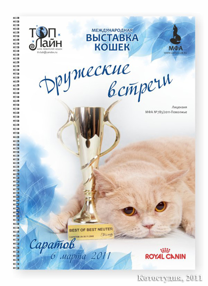 Дизайн обложки каталога для выставки кошек