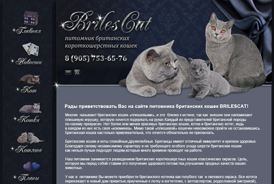 Сайт питомника Британских кошек BrilesCat