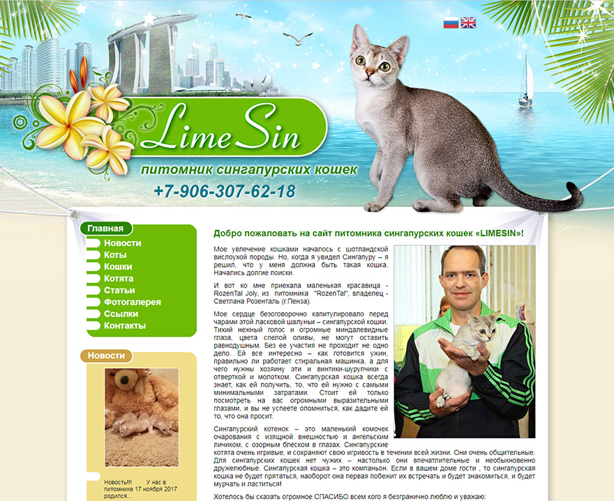 Сайт питомника сингапурских кошек Limesin