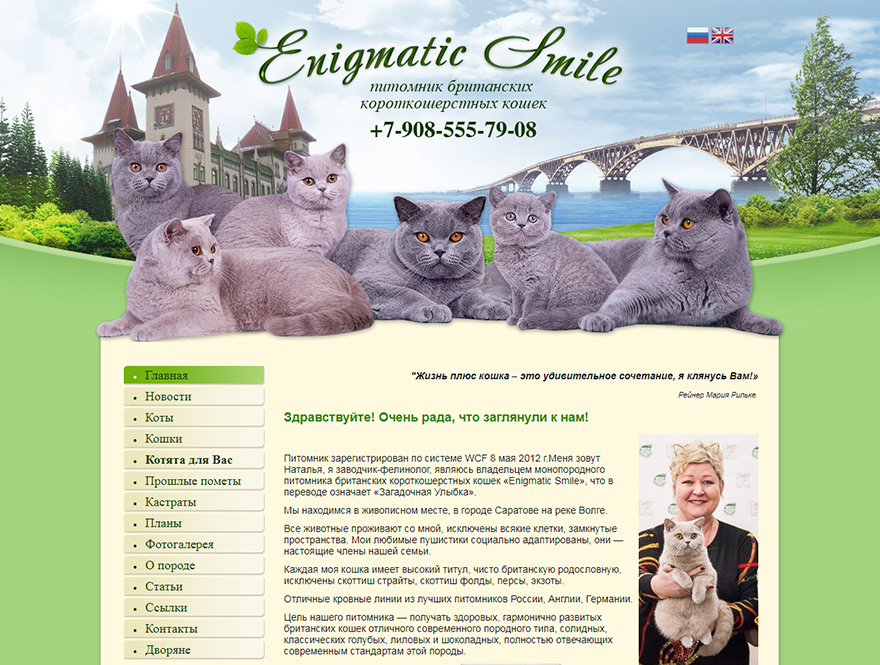 Сайт питомника британских кошек Enigmatic Smile
