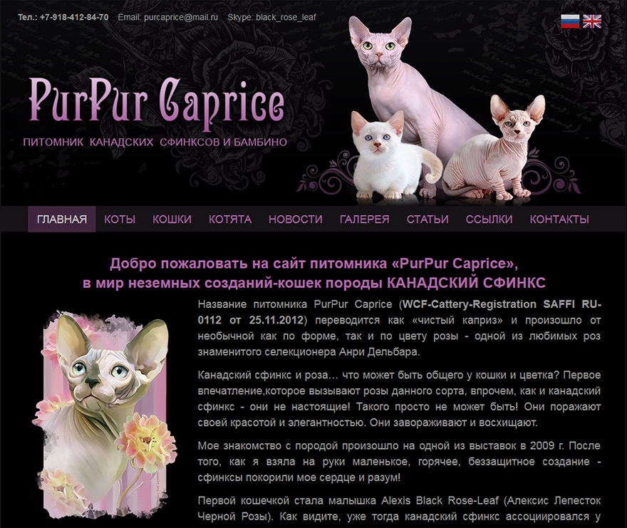 Сайт питомника Канадских сфинксов PurPur Caprice