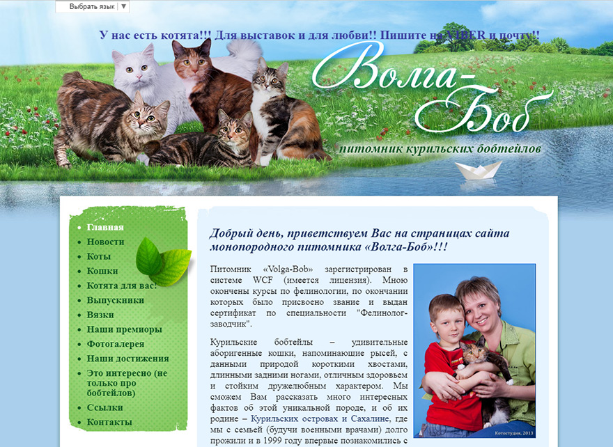 Сайт питомника Курильских бобтейлов Волга-боб