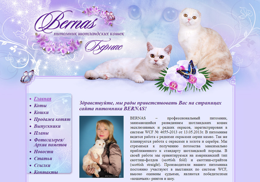 Сайт питомника Шотландских кошек Бернас