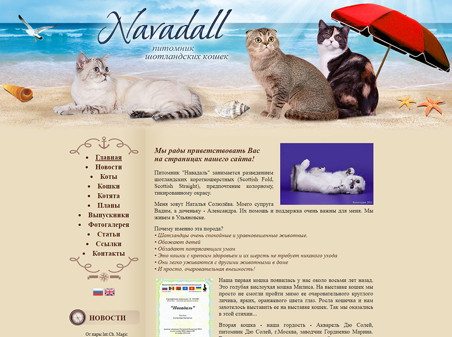 Сайт питомника Шотландских кошек Navadall