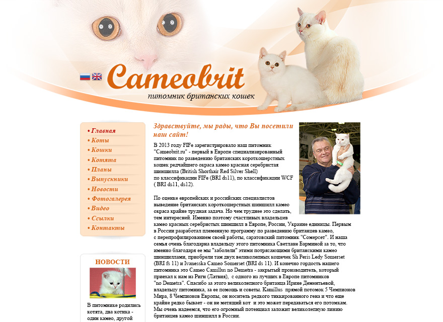 Сайт питомника Британских кошек Cameobrit