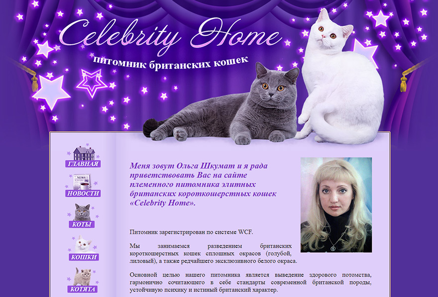 Сайт питомника Британских кошек Celebrity home