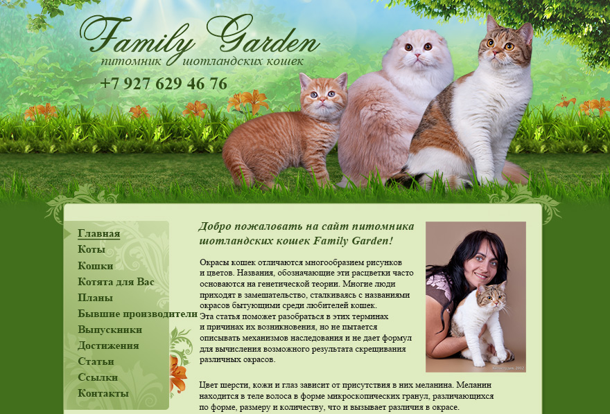Сайт питомника шотландских кошек Family Garden