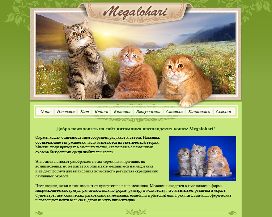Сайт питомника Шотландских кошек Megalohari