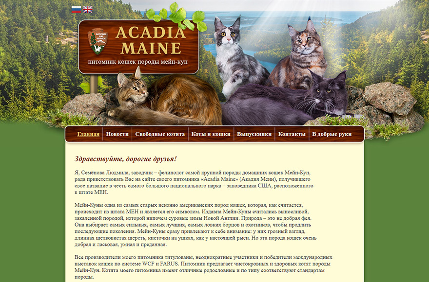 Сайт питомника мейн-кунов Acadia Maine