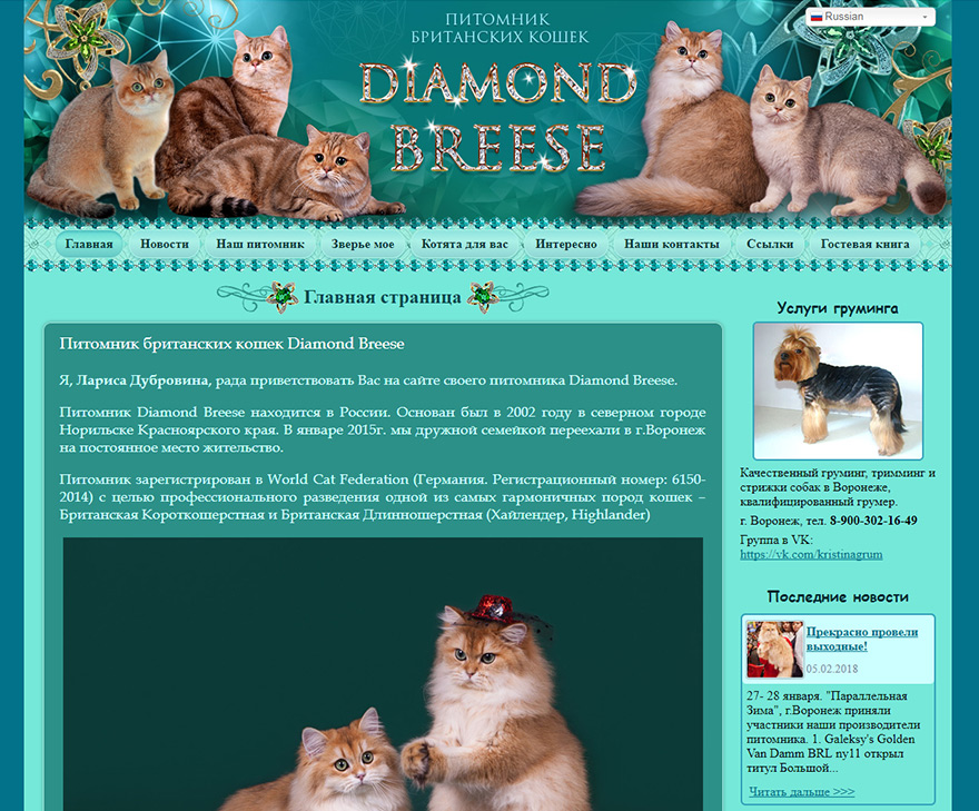 Сайт питомника Британских кошек Diamond Breese